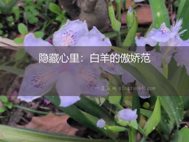 隱藏心里：白羊的傲嬌范