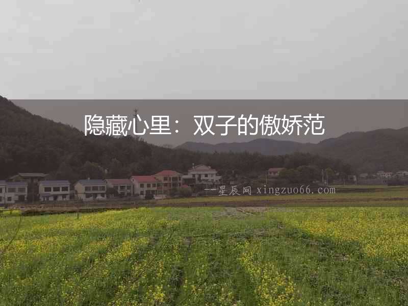 隱藏心里：雙子的傲嬌范