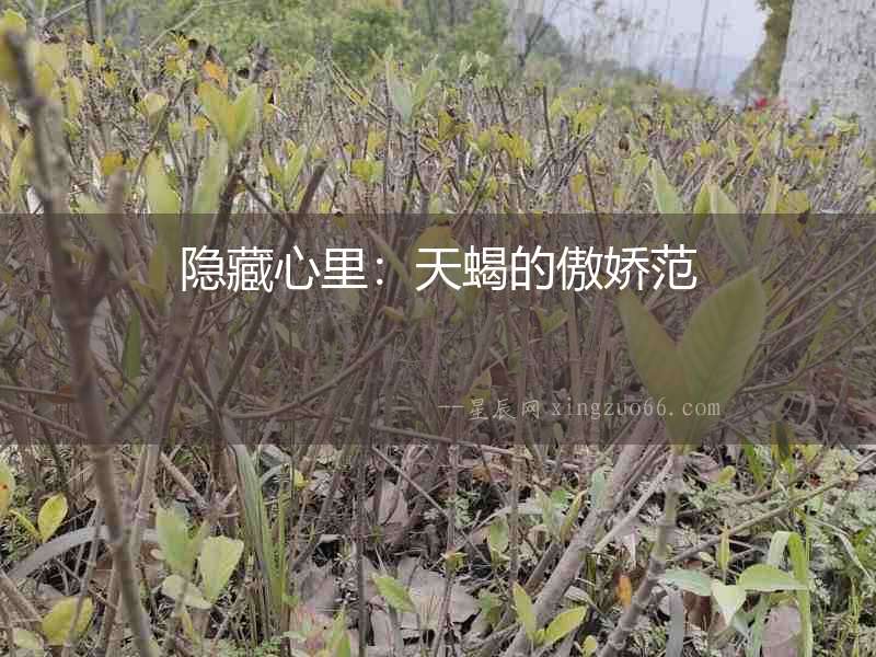 隱藏心里：天蝎的傲嬌范
