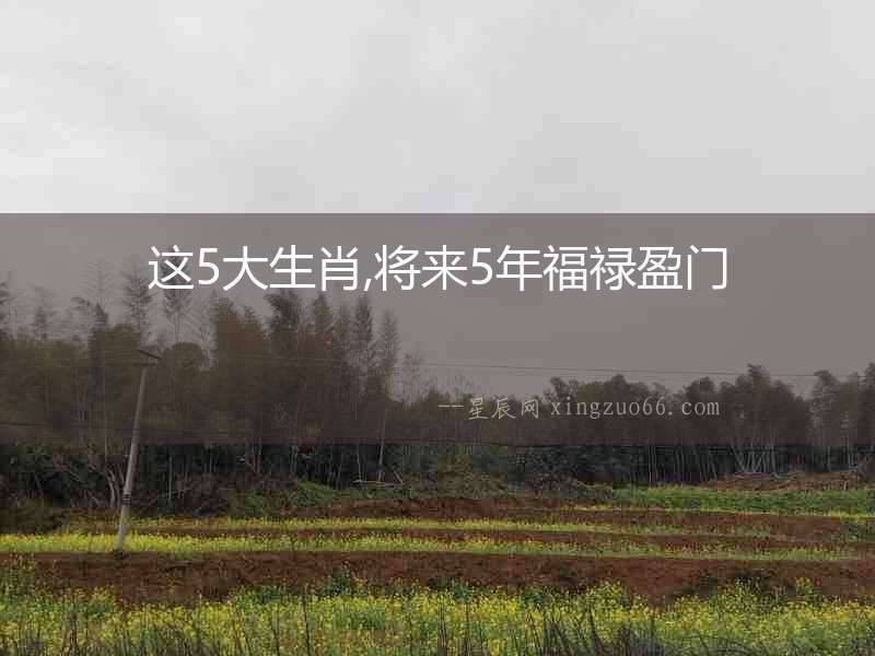 這5大生肖,將來5年福祿盈門