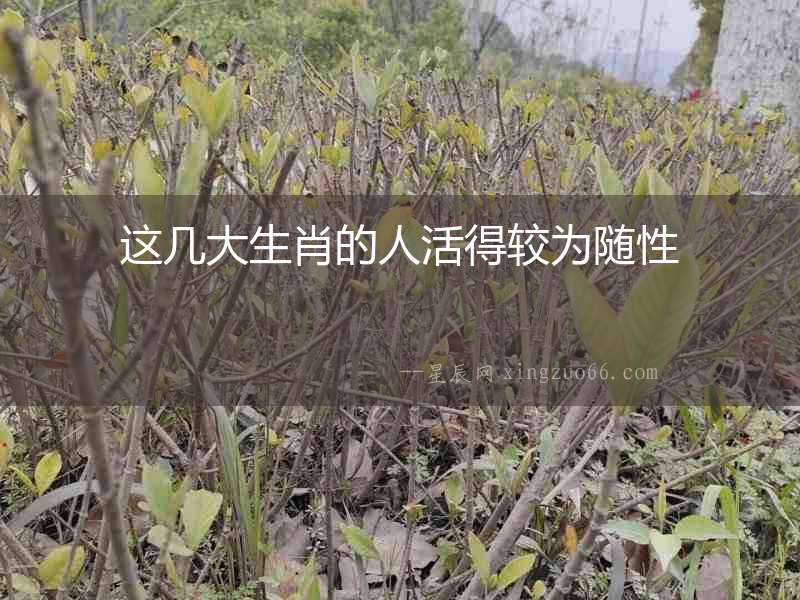 這幾大生肖的人活得較為隨性