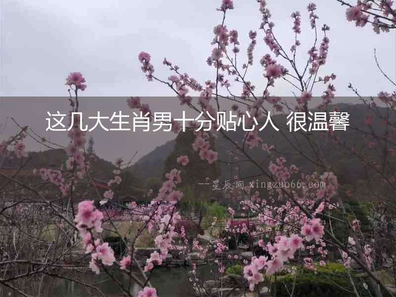 這幾大生肖男十分貼心人 很溫馨