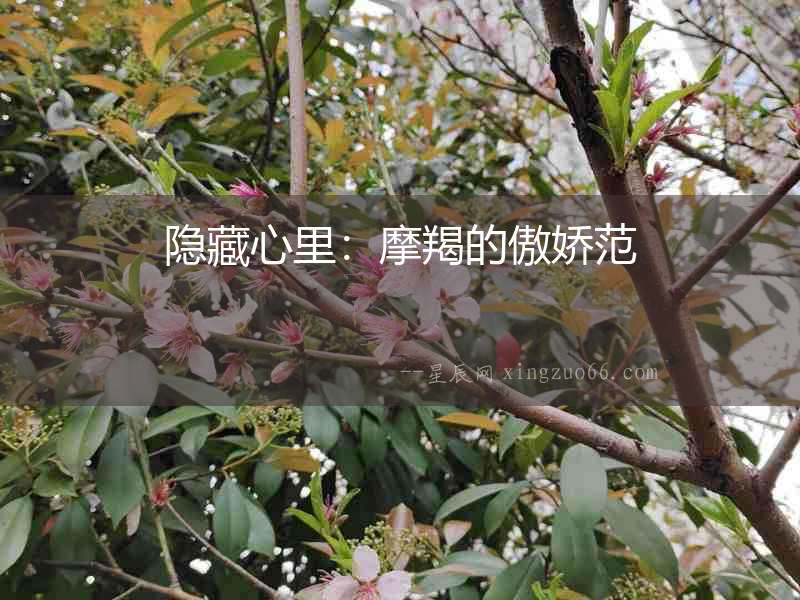 隱藏心里：摩羯的傲嬌范