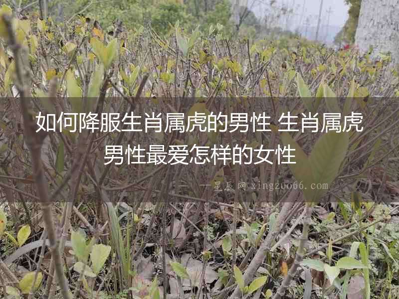 如何降服生肖屬虎的男性 生肖屬虎男性最愛怎樣的女性