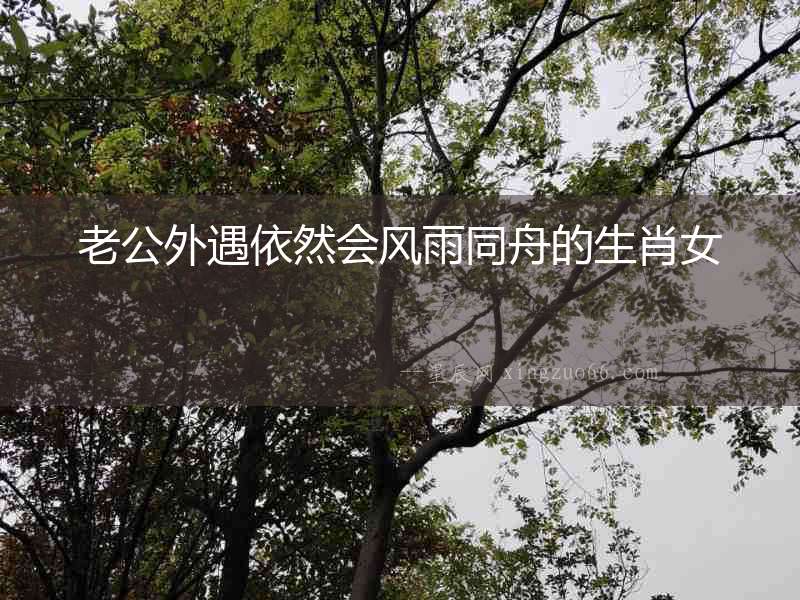 老公外遇依然會風雨同舟的生肖女
