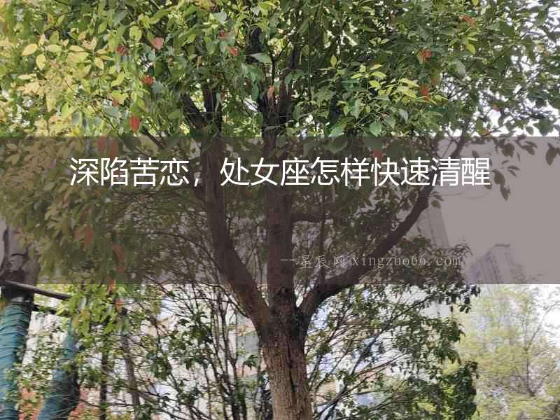 深陷苦戀，處女座怎樣快速清醒