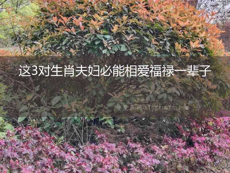 這3對生肖夫婦必能相愛福祿一輩子
