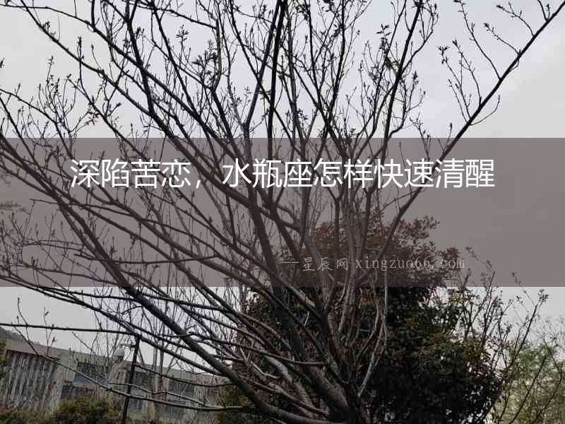 深陷苦戀，水瓶座怎樣快速清醒