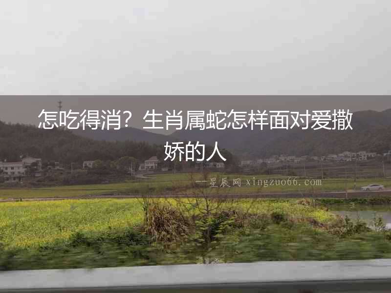 怎吃得消？生肖屬蛇怎樣面對愛撒嬌的人