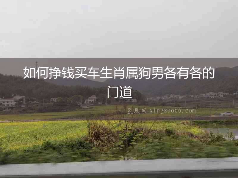 如何掙錢買車生肖屬狗男各有各的門道