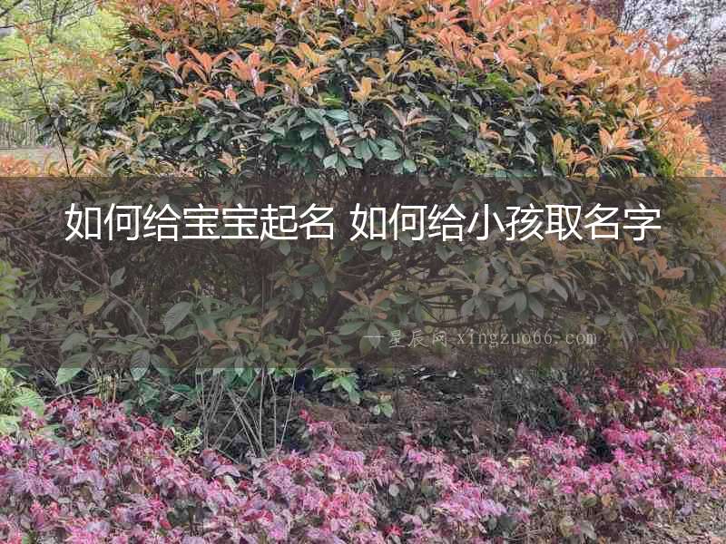 如何給寶寶起名 如何給小孩取名字