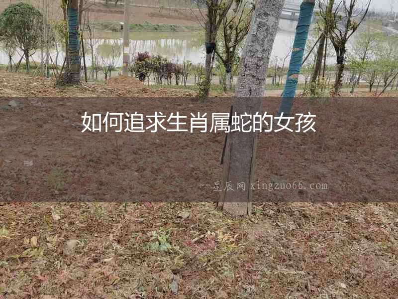如何追求生肖屬蛇的女孩