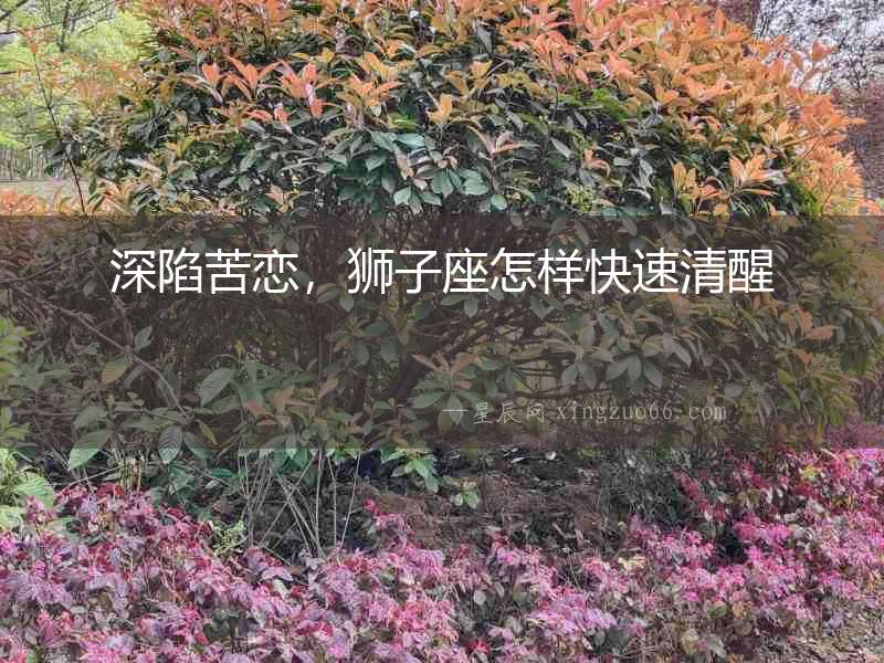 深陷苦戀，獅子座怎樣快速清醒