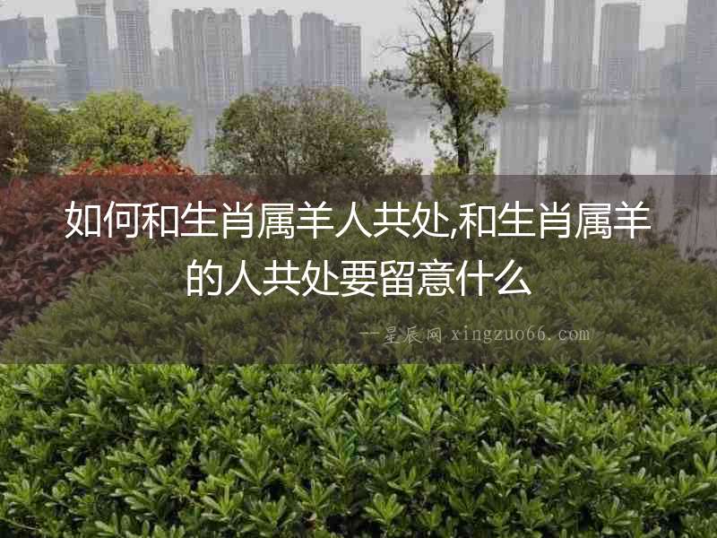 如何和生肖屬羊人共處,和生肖屬羊的人共處要留意什么