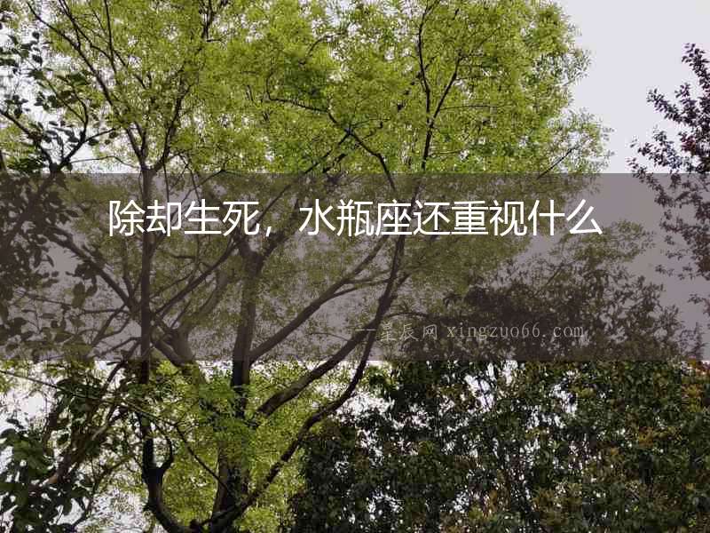 除卻生死，水瓶座還重視什么