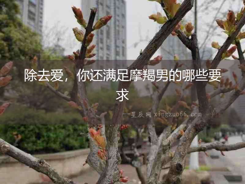 除去愛，你還滿足摩羯男的哪些要求