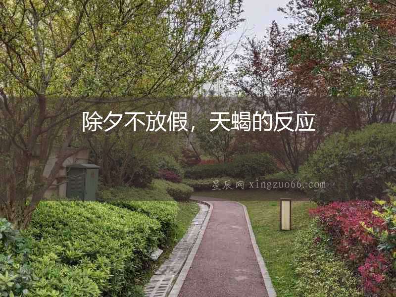 除夕不放假，天蝎的反應