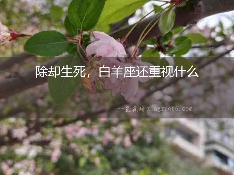 除卻生死，白羊座還重視什么
