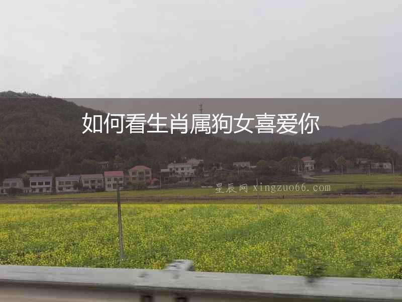 如何看生肖屬狗女喜愛你