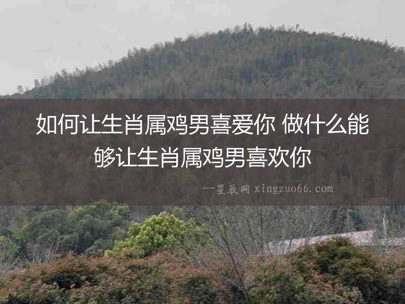 如何讓生肖屬雞男喜愛你 做什么能夠讓生肖屬雞男喜歡你