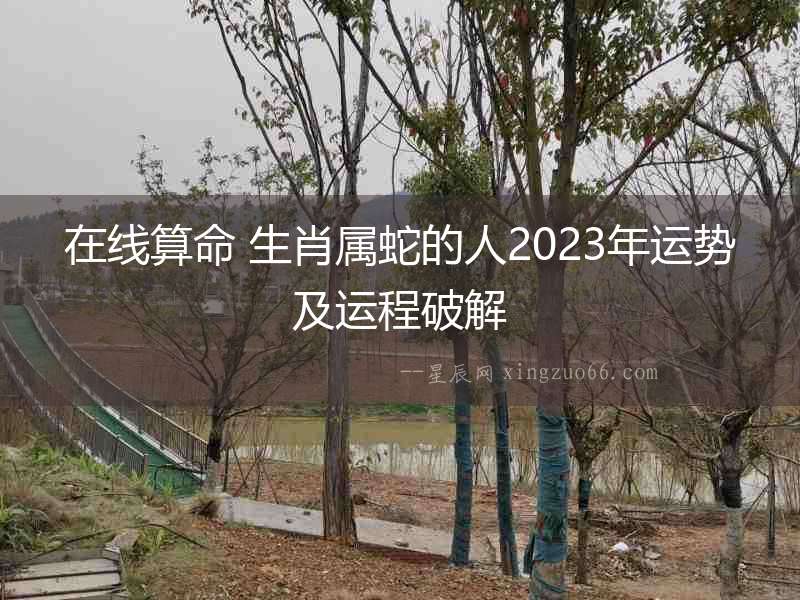 在線算命 生肖屬蛇的人2023年運勢及運程破解