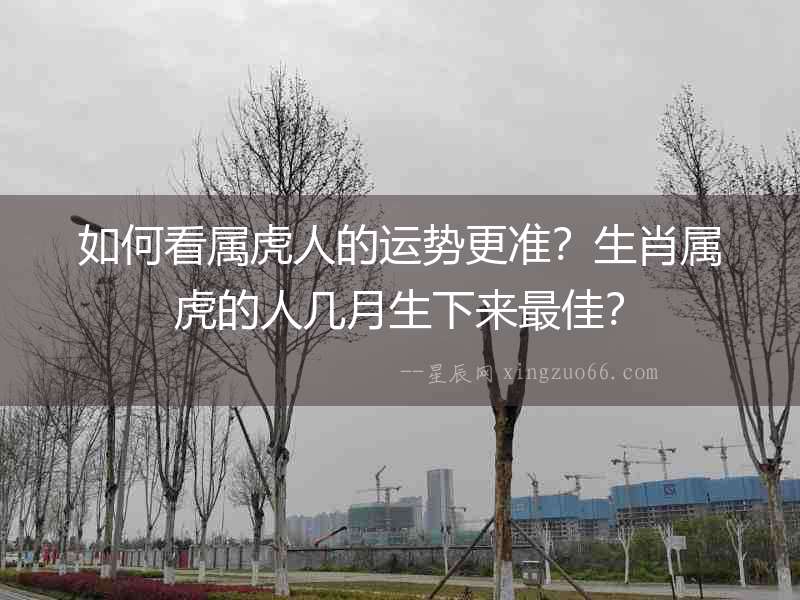 如何看屬虎人的運勢更準？生肖屬虎的人幾月生下來最佳？