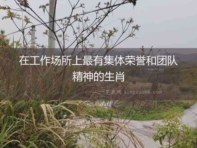 在工作場所上最有集體榮譽和團隊精神的生肖