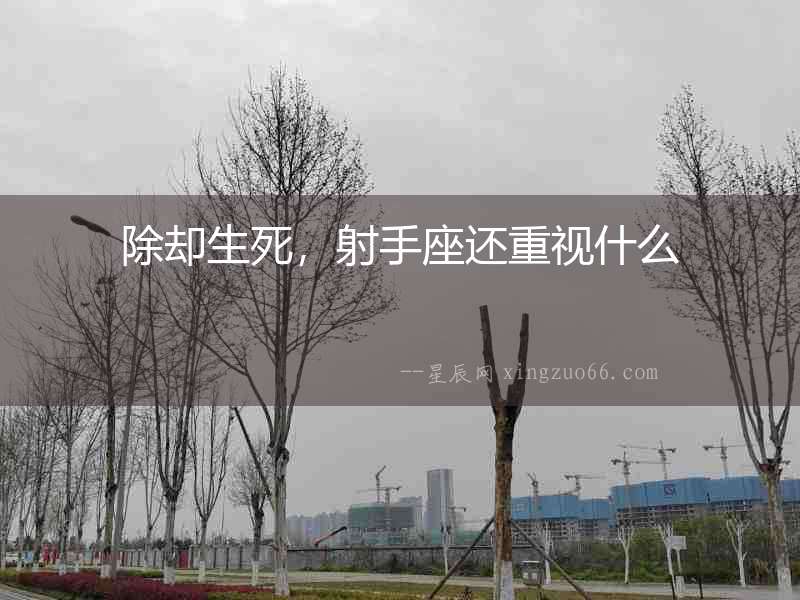 除卻生死，射手座還重視什么