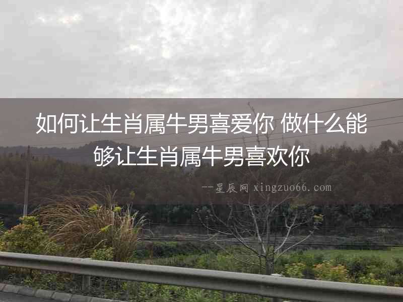 如何讓生肖屬牛男喜愛你 做什么能夠讓生肖屬牛男喜歡你