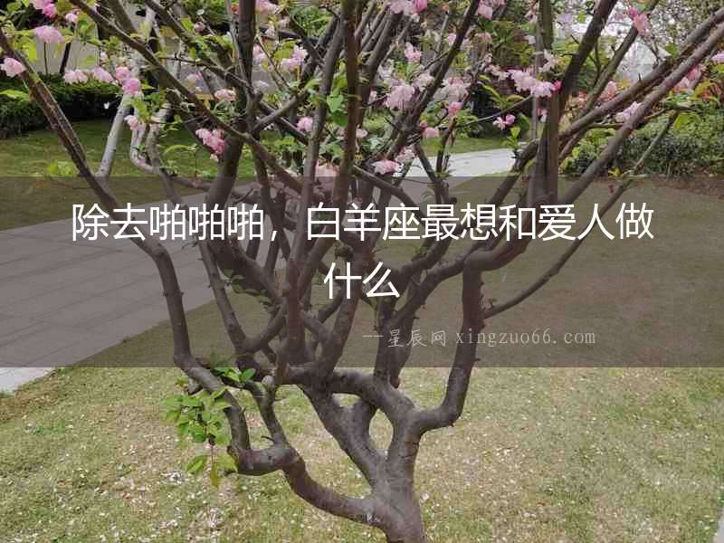 除去啪啪啪，白羊座最想和愛人做什么
