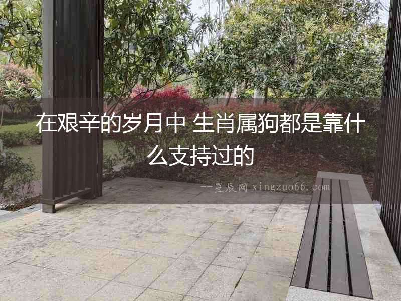 在艱辛的歲月中 生肖屬狗都是靠什么支持過的