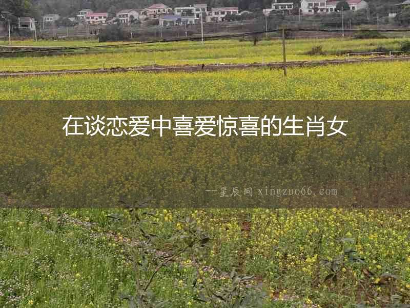 在談戀愛中喜愛驚喜的生肖女