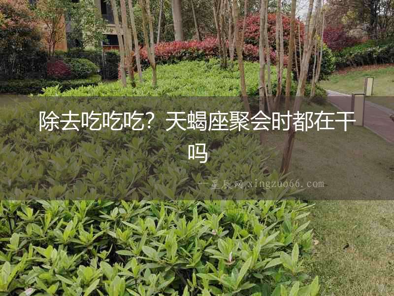 除去吃吃吃？天蝎座聚會時都在干嗎