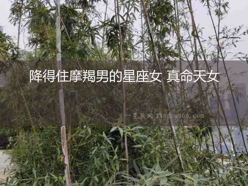 降得住摩羯男的星座女 真命天女