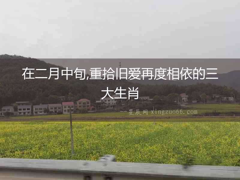 在二月中旬,重拾舊愛再度相依的三大生肖