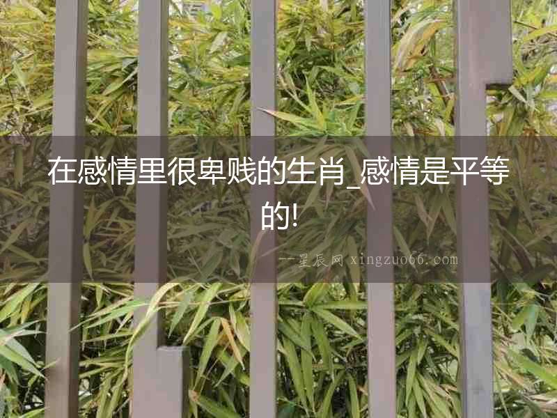 在感情里很卑賤的生肖_感情是平等的!