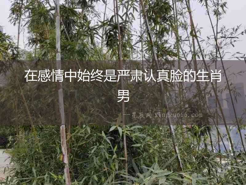 在感情中始終是嚴肅認真臉的生肖男