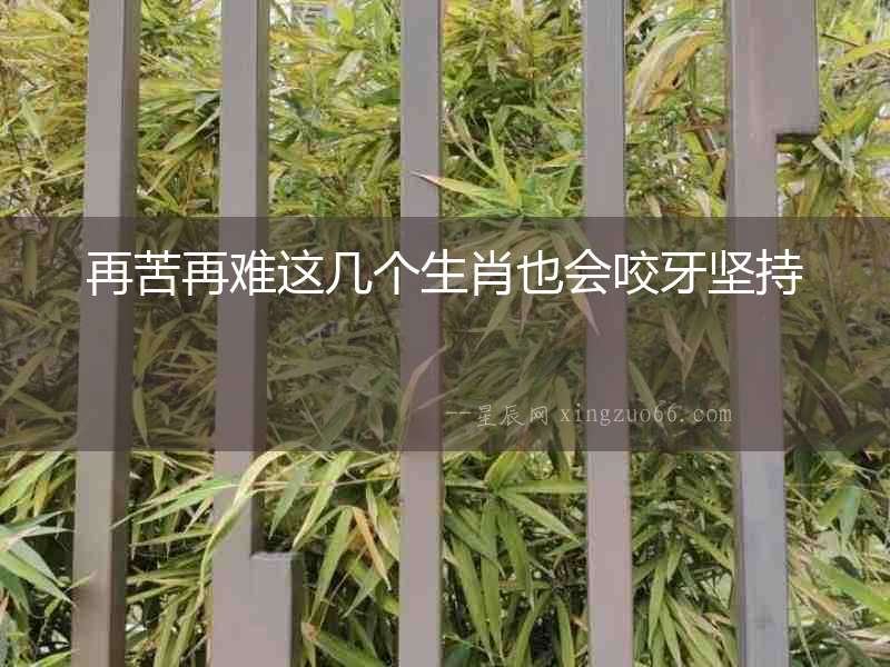再苦再難這幾個生肖也會咬牙堅持