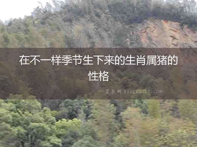 在不一樣季節生下來的生肖屬豬的性格