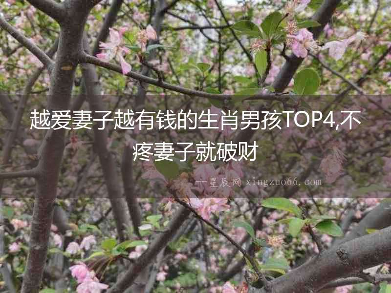 越愛(ài)妻子越有錢(qián)的生肖男孩TOP4,不疼妻子就破財(cái)