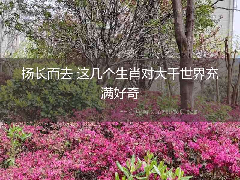 揚長而去 這幾個生肖對大千世界充滿好奇