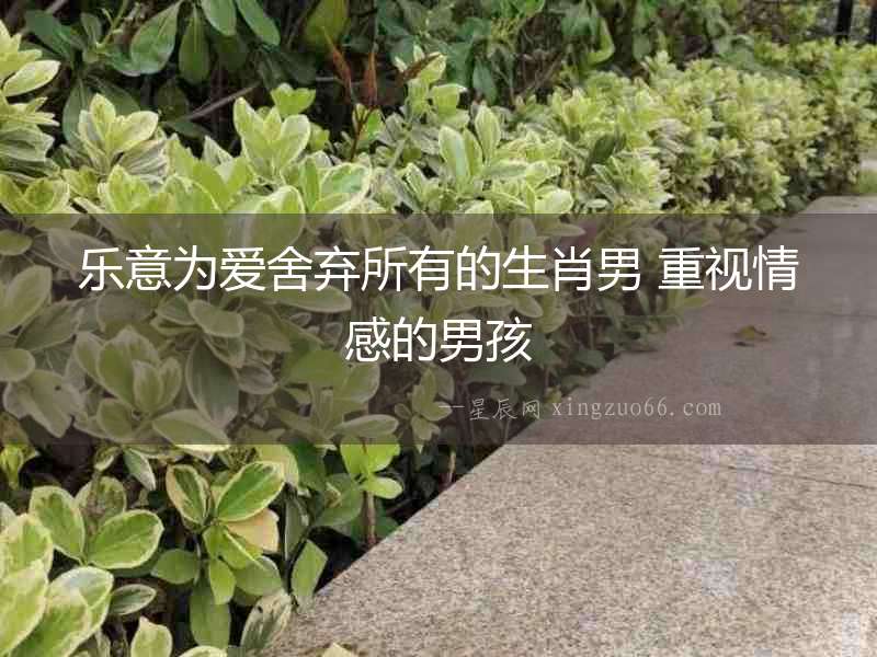 樂意為愛舍棄所有的生肖男 重視情感的男孩