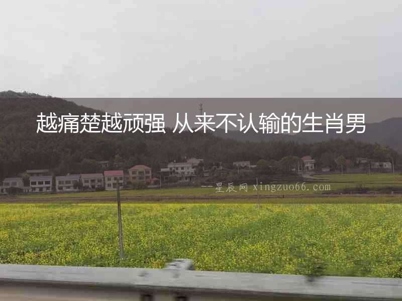 越痛楚越頑強 從來不認輸的生肖男