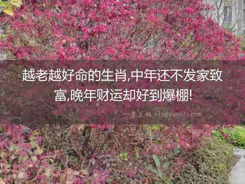 越老越好命的生肖,中年還不發家致富,晚年財運卻好到爆棚!