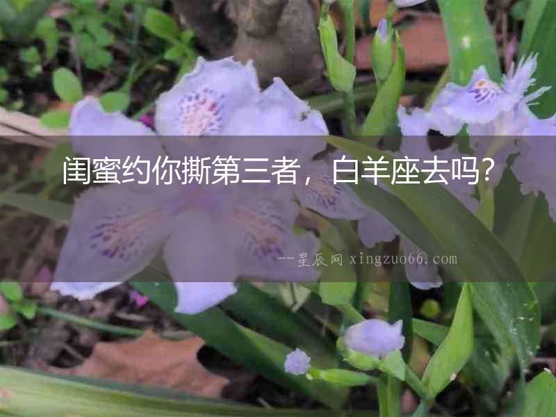 閨蜜約你撕第三者，白羊座去嗎？