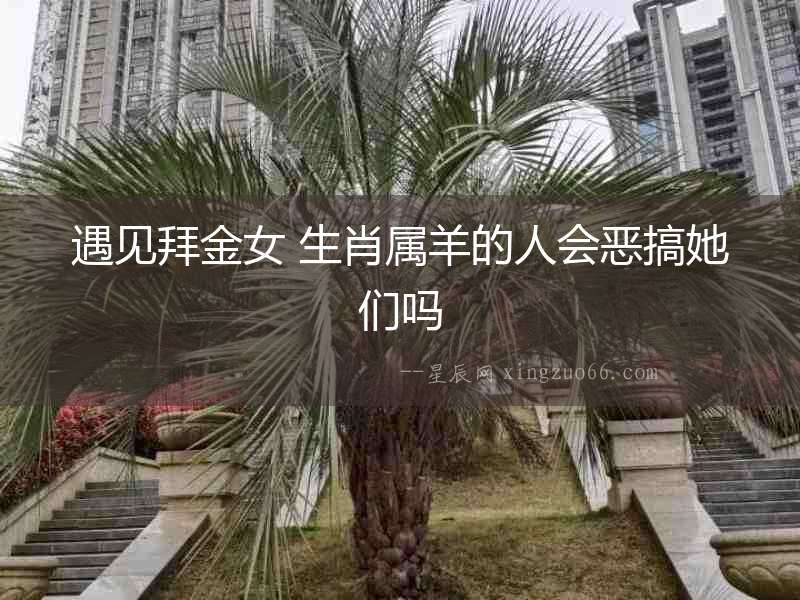 遇見拜金女 生肖屬羊的人會惡搞她們嗎