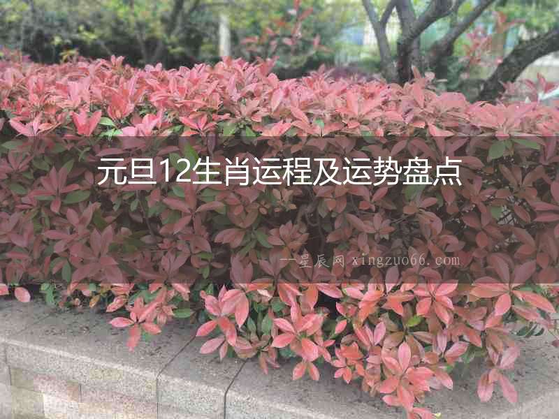 元旦12生肖運(yùn)程及運(yùn)勢(shì)盤(pán)點(diǎn)