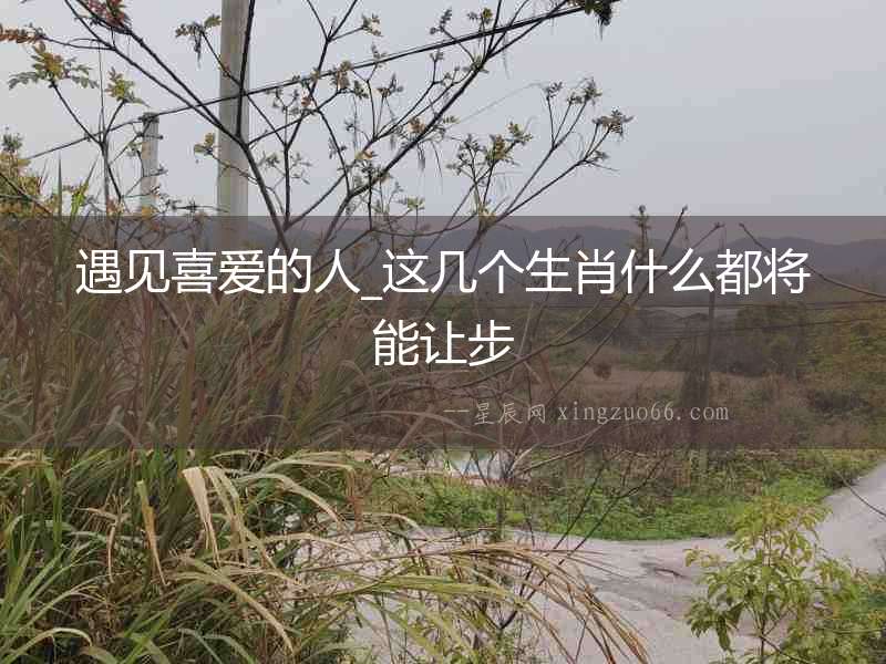 遇見喜愛的人_這幾個(gè)生肖什么都將能讓步