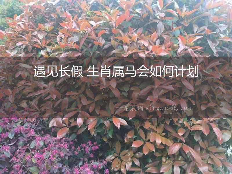 遇見長假 生肖屬馬會如何計劃