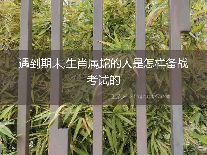 遇到期末,生肖屬蛇的人是怎樣備戰(zhàn)考試的
